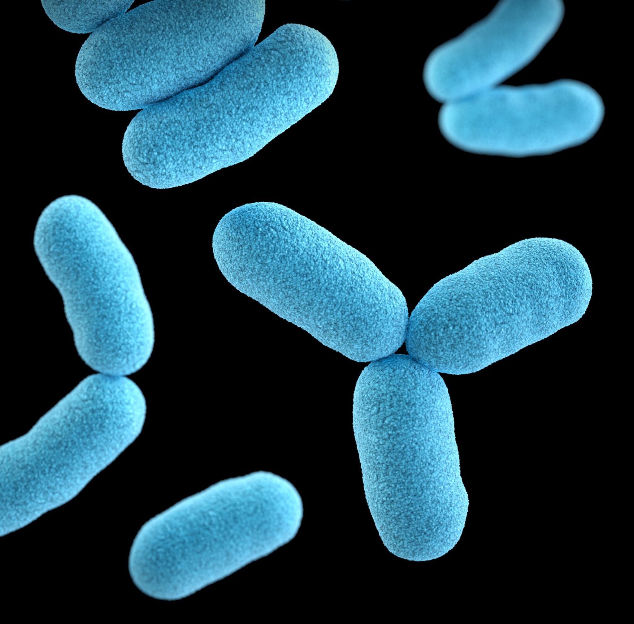 All You Need To Know About Probiotics! | The Balanced Practice Inc | Ottawa, ON